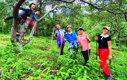 Niềm vui đơn giản