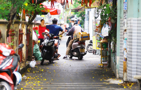 Thành phố này lạ quá chừng!