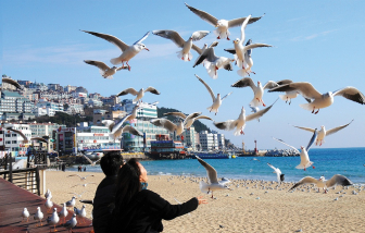 Thêm lựa chọn bay cùng Vietjet đến với mùa hè tại Busan - thành phố biển lớn nhất Hàn Quốc