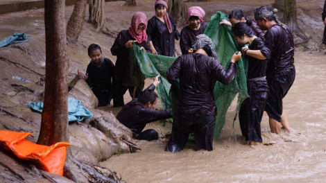 Mùa hè, cho trẻ về miền Tây tát mương bắt cá, rượt vịt, đi chợ nổi...