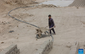 Afghanistan: Hơn 19% trẻ em phải tham gia lao động để giúp gia đình