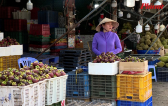 Xuất khẩu tăng, nhưng trái cây Việt chịu áp lực cạnh tranh ngay trên sân nhà