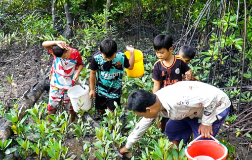 Hè mặn vùng cửa biển