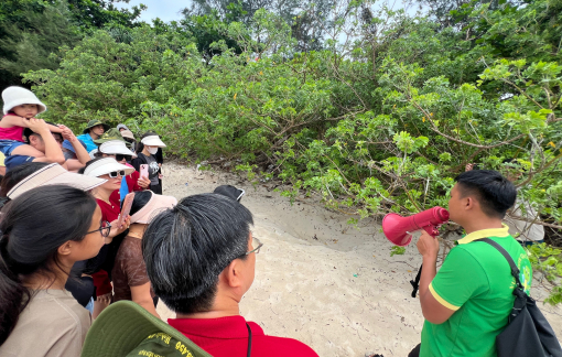 Độc đáo tour "hộ sinh" cho rùa biển