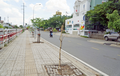 Thiếu đất làm công viên, mảng xanh TPHCM đang nhạt nhòa