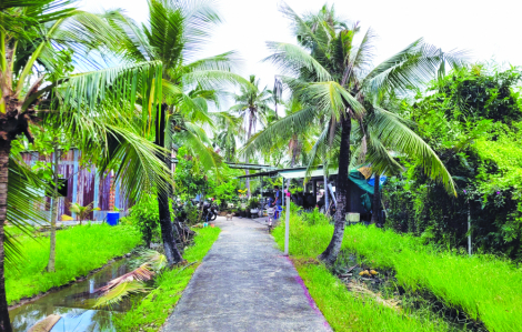 Thi thiết kế quy hoạch bán đảo Bình Quới - Thanh Đa TPHCM giải thưởng lên đến 5 tỉ đồng