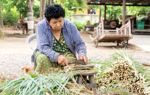 Điều ước ngốc nghếch