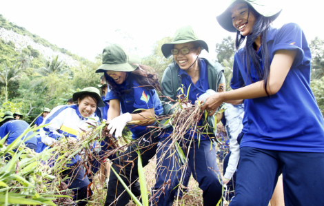 Mùa hè xanh, vấn vương bao yêu thương