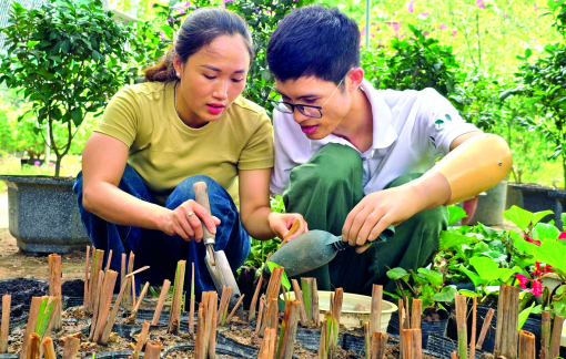 Vườn cây chữa lành của chàng kỹ sư không tay