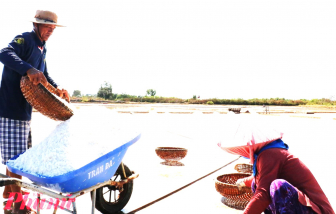 Bạc Liêu tổ chức festival muối lần đầu tiên vào tháng 12/2024