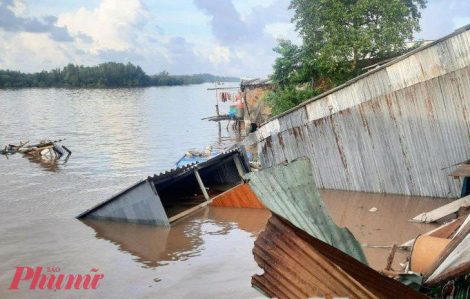 Sạt lở trong đêm ở Cà Mau khiến 6 căn nhà bị thiệt hại