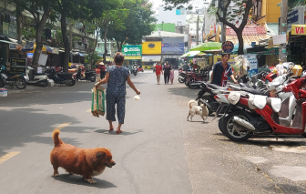 Văn minh trong hẻm, khó hay không?