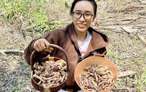 Nghề lạ giúp phụ nữ đảo ngọc “hái” ra tiền