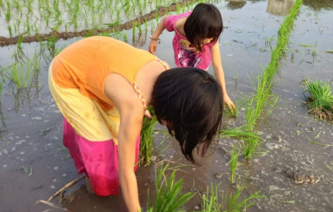 Mùa hè không điện thoại: Về quê, các con 'bơ' luôn cha mẹ