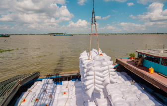 Cước tàu biển “hạ nhiệt”, giá gạo xuất khẩu sẽ sớm tăng lại?