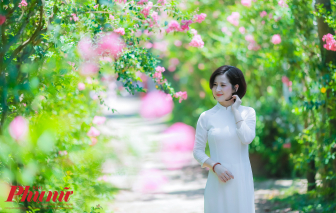 Thiếu nữ Hà Thành duyên dáng khoe sắc bên hoa tường vi