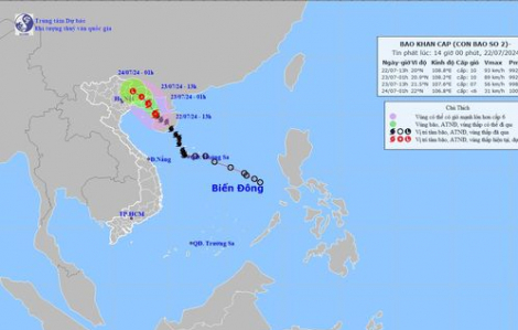 Nhiều tỉnh khẩn cấp cấm biển để ứng phó với bão số 2 Prapiroon