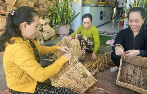 Hợp tác xã làm ăn hiệu quả, phụ nữ góp sức làm giàu quê nhà - Bài cuối: Tạo cơ chế để có thêm nhiều phụ nữ tham gia