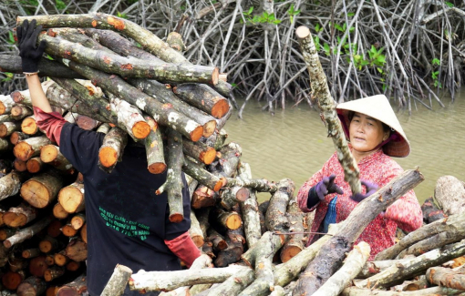 Mẹ lấm lem cho đời con tươi sáng