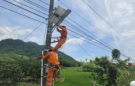 Tuổi trẻ PC Khánh Hòa: Chung tay “Thắp sáng quê hương cách mạng bằng năng lượng xanh”