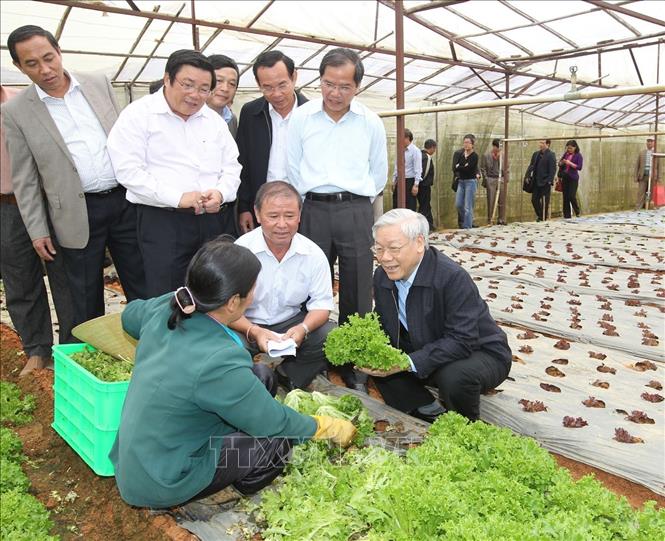 Tổng Bí thư Nguyễn Phú Trọng thăm Hợp tác xã Xuân Hương, Phường 9, thành phố Đà Lạt, tỉnh Lâm Đồng (7/12/2012). Ảnh: Trí Dũng/TTXVN