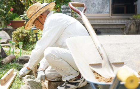 Lương hưu không đủ sống, người già Hàn Quốc U.80 vẫn phải tìm việc