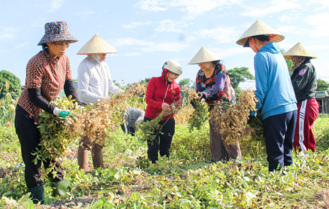 Gieo yêu thương trên những mảnh đất bỏ hoang