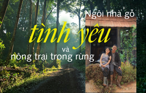 Ngôi nhà gỗ, tình yêu và nông trại trong rừng