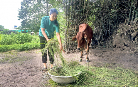 Khó khăn không làm các em chùn bước