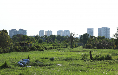 5 đơn vị thi tuyển quy hoạch bán đảo Thanh Đa vào vòng 2