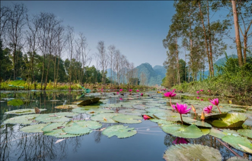 Canh chua chay nêm... nước mắm