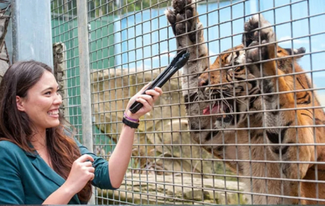 Úc: Hổ vồ nữ nhân viên nuôi dạy thú dữ