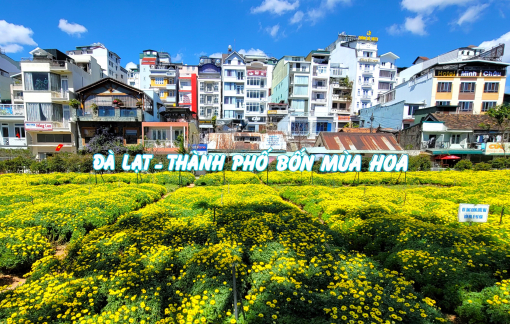 Chủ tịch UBND TP Đà Lạt gửi thư cảm ơn doanh nghiệp đưa 42.000 công nhân đến du lịch