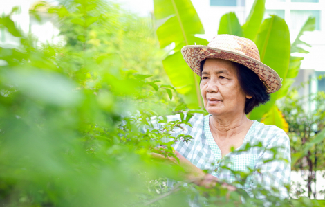 Trả bà cho ông