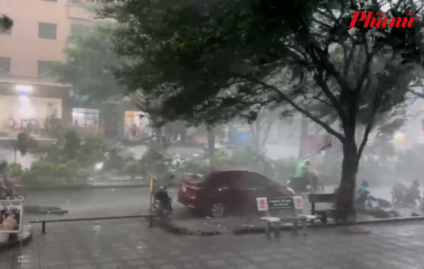 Gió lớn khiến nhiều cây đổ tại Hà Nội, 1 người tử vong