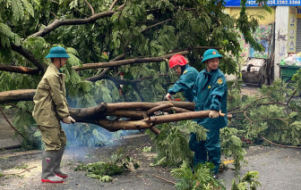 Hà Nội: Khắc phục hậu quả bão để học sinh trở lại trường