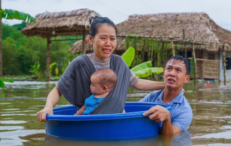 Cú lừa giữa tang thương