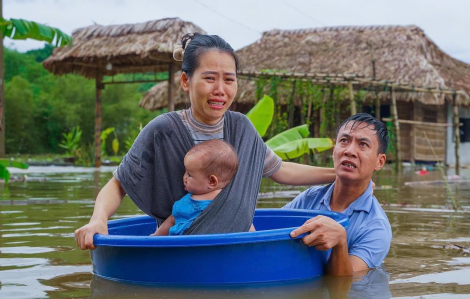 Cú lừa giữa tang thương