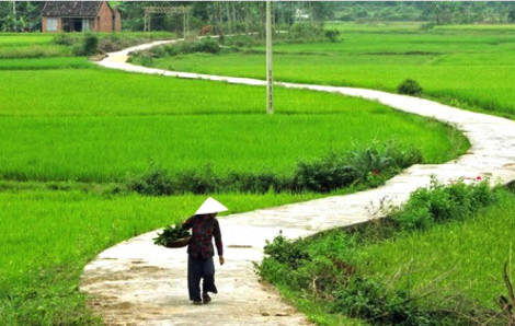 “Sao lâu quá bây chưa về thăm vú?”