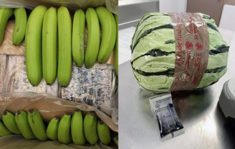 Ma túy ''trốn'' trong trái cây