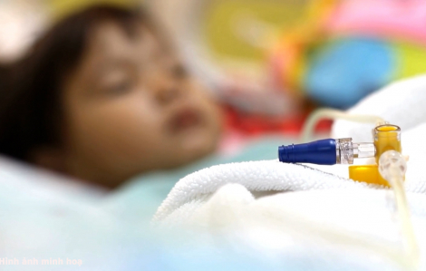 7 học sinh bị ong đốt, 1 em tử vong