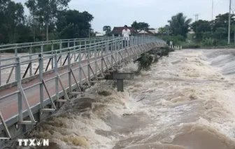 Cảnh báo lũ trên sông Cửu Long