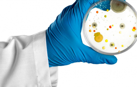 39 triệu người có nguy cơ tử vong do siêu vi khuẩn kháng thuốc