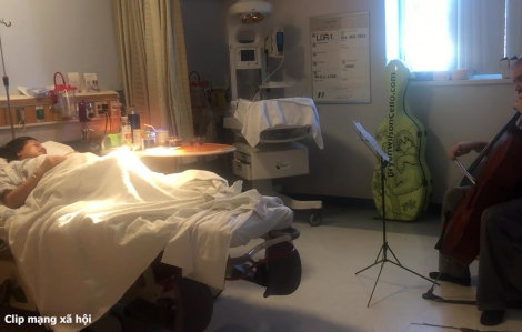 Nghệ sĩ Mỹ kéo đàn bài ‘Nhật ký của mẹ’ cho vợ nghe trước khi sinh