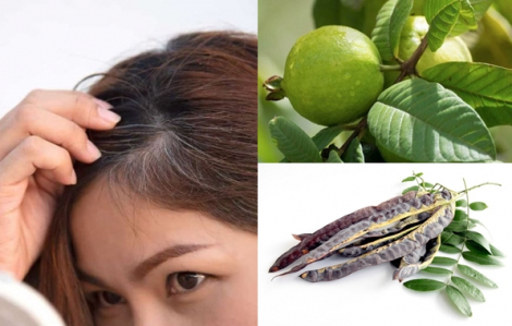 Những nguyên liệu tự nhiên siêu rẻ giúp cải thiện tóc bạc sớm