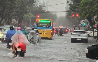 Đà Nẵng ngập khắp các tuyến phố, người dân bì bõm đưa con đi học