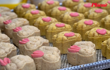 Sản xuất bánh cho… chó, mèo