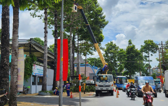 TPHCM đã thay thế 2.765 cây xanh hư hại, khiếm khuyết, chết khô