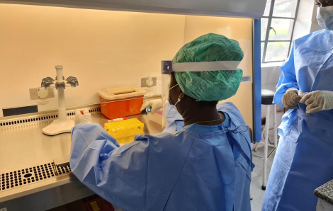 Gần 3.000 ca mắc mới đậu mùa khỉ chỉ trong 1 tuần