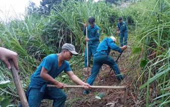 Quảng Nam: Huy động dân quân mở đường dân sinh để dự phòng tình huống sạt lở